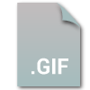 What is a GIF file type